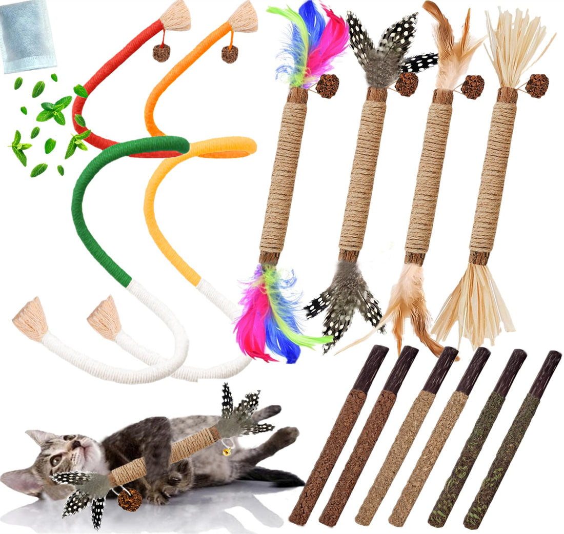 GREMBEB Cat Toys 12PCS Catnip Toy for Indoor Kitten Toys Cat Chew