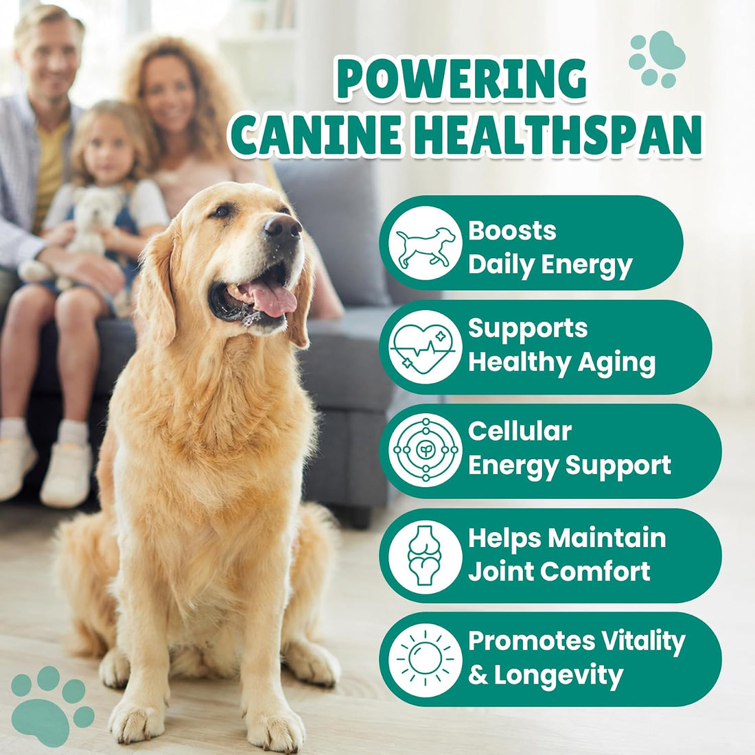 NAD+ Drops for Dogs, Dog Longevity Supplement with NMN & Resveratrol