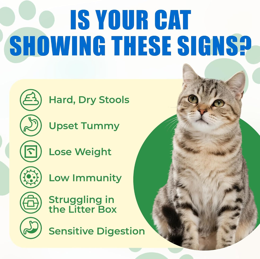 Just Try 300 Bites Cat Treats