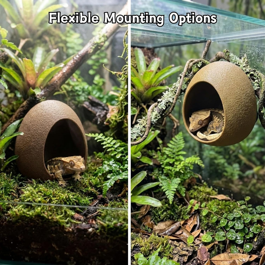 Egg Reptile Hide Cave with Suction Cups, Hanging Gecko Shelter