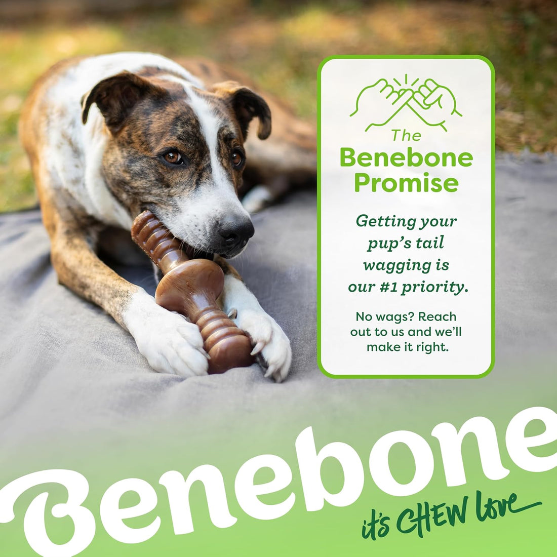 Benebone Dog Chew Toy for Aggressive Chewers, Real Bacon, Medium