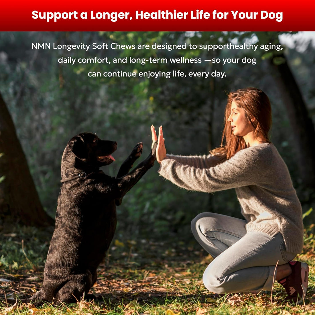 NMN Longevity Soft Chews for Dogs – Beef Flavored