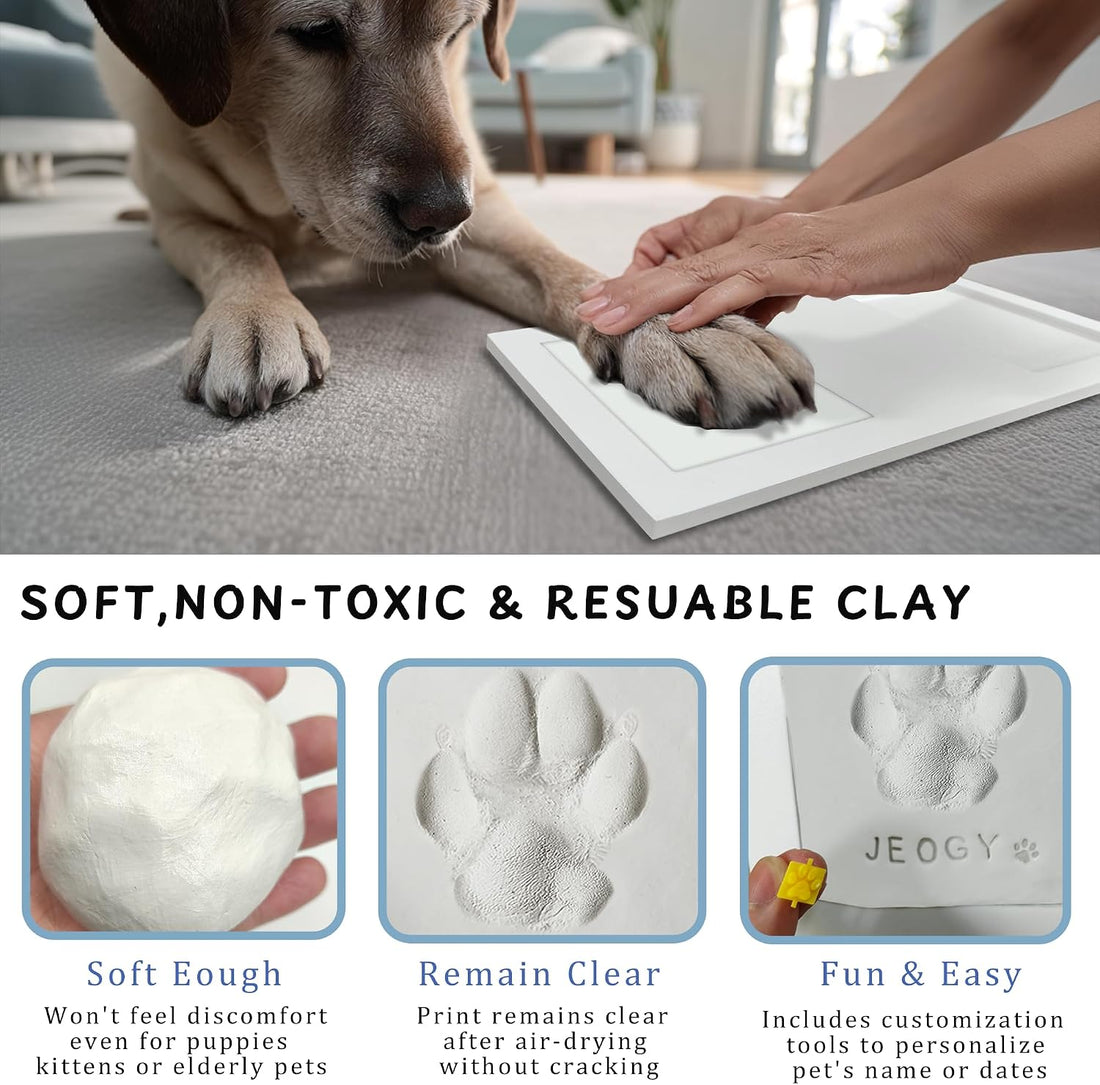 MYPAWLETS Dog Cat Paw Print Kit,Ink&Clay Pawprint Keepsake Frame