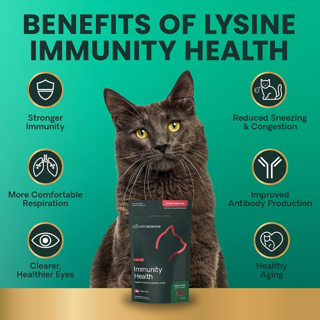 VetriScience Lysine Immunity Health Chews