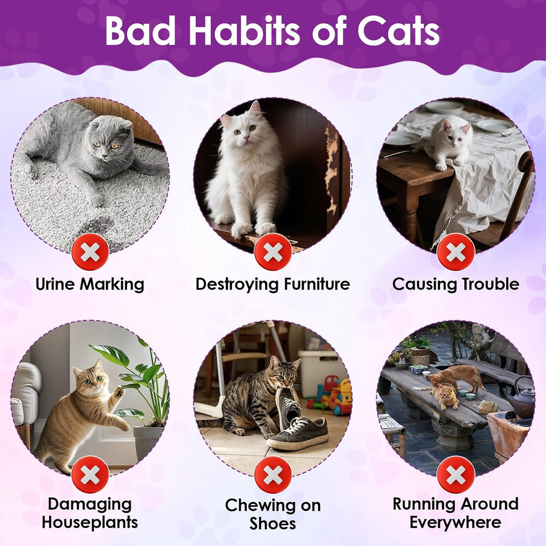 Citrus Cat Deterrent Spray for Furniture Protection