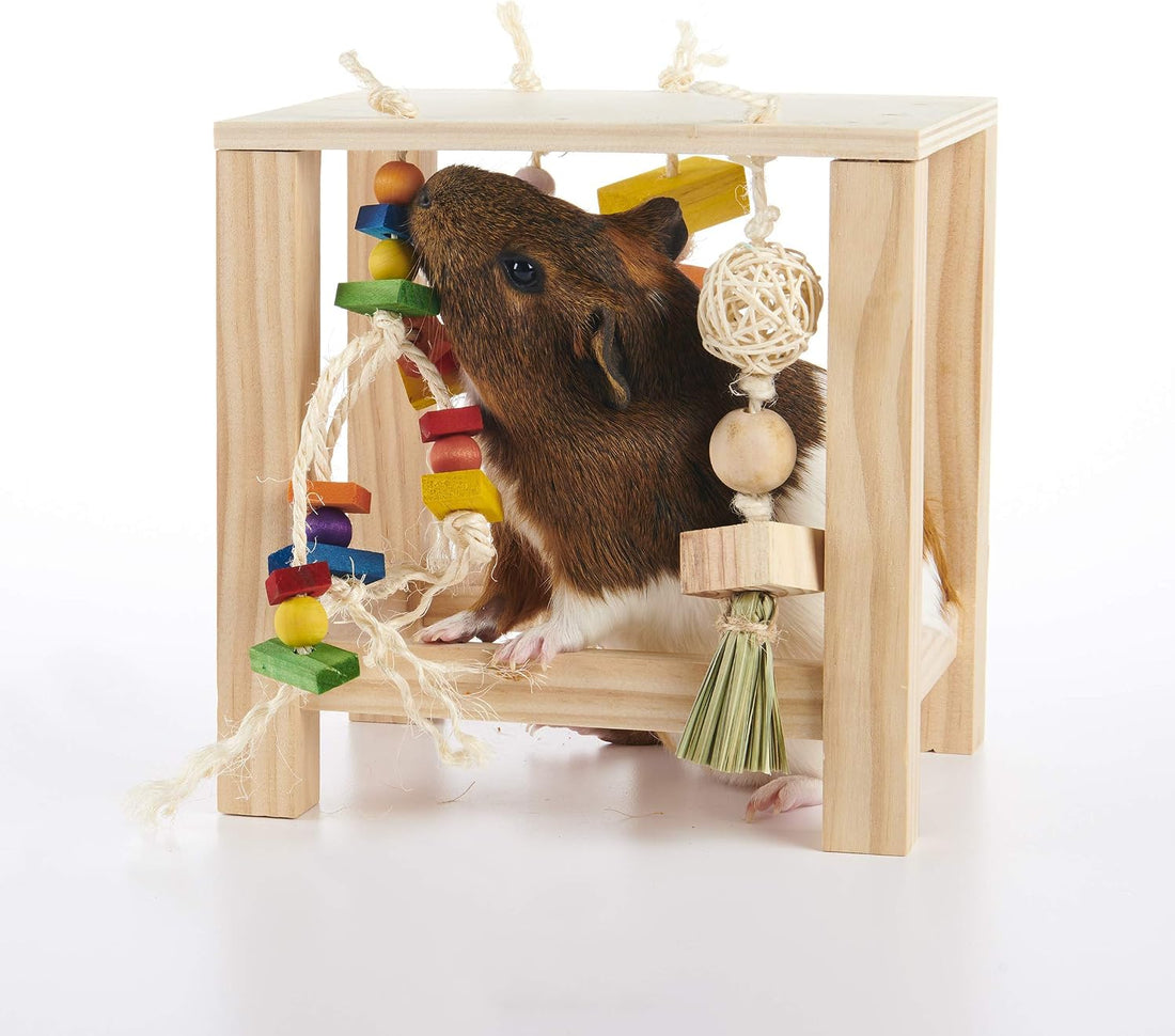 Oxbow Play Table, Rabbit & Guinea Pig Toys, Guinea Pig Accessories