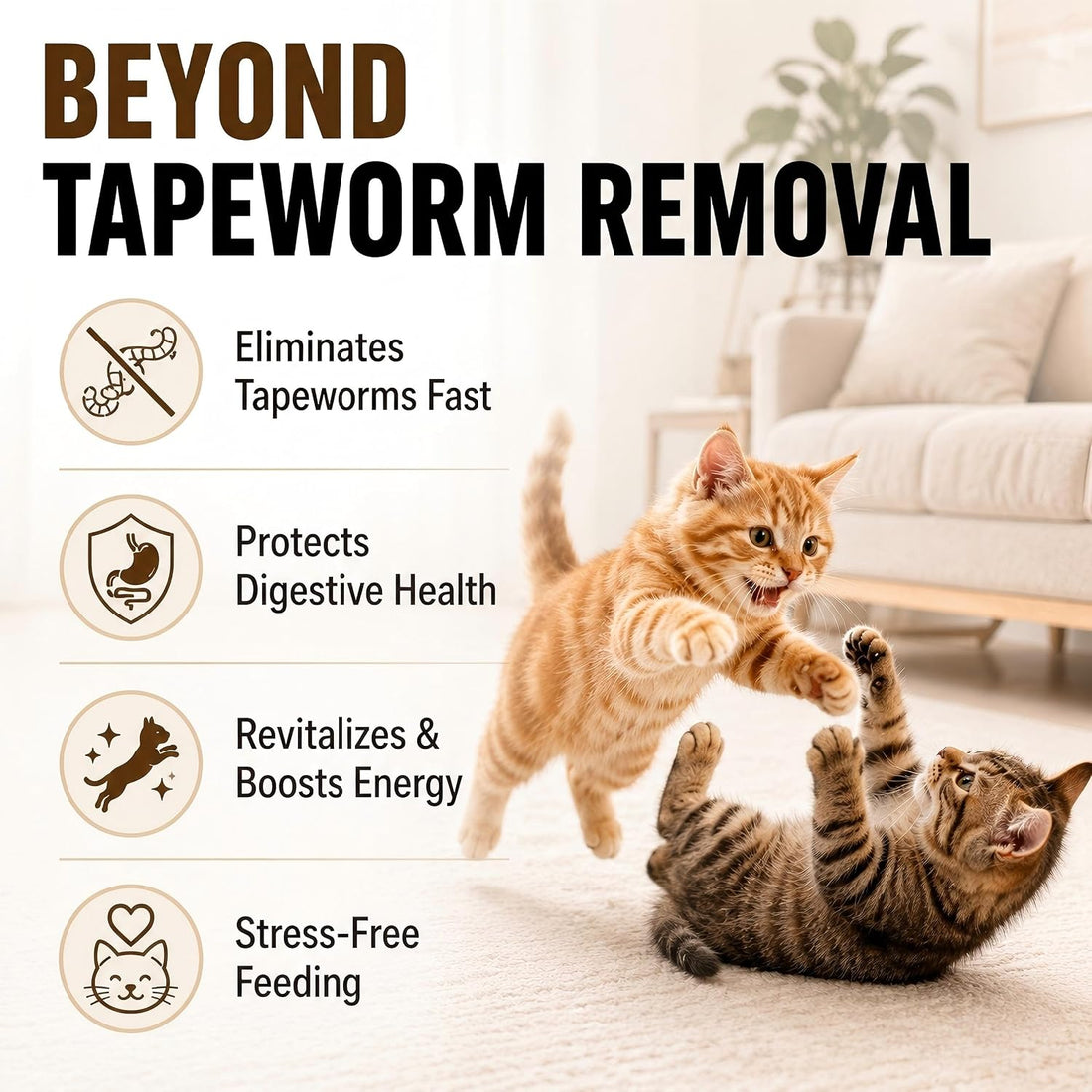 Tapeworm Treatment for Cats & Kittens, Praziquantel Liquid