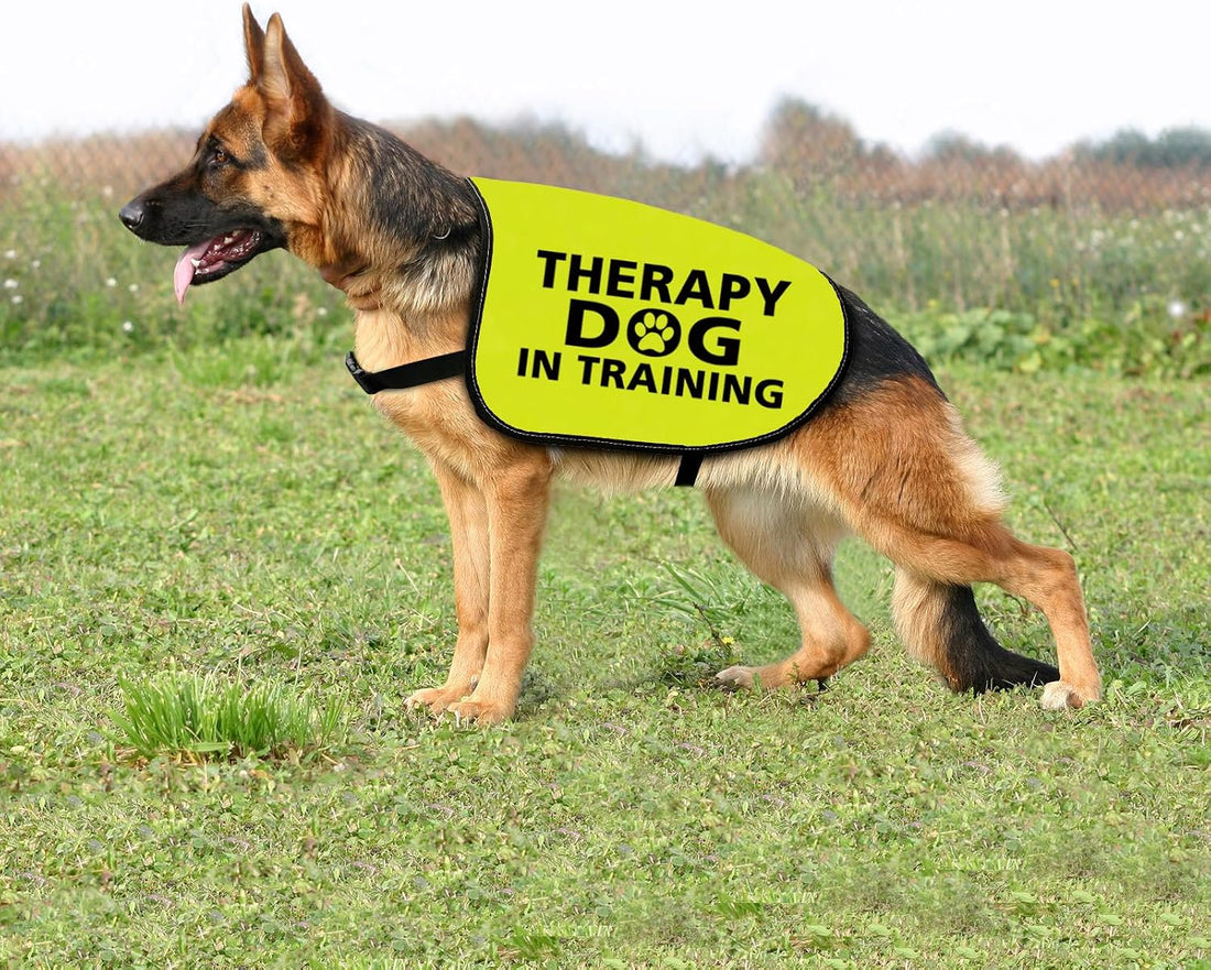 Zuo Bao Therapy Dog Jacket Vest for Large Dogs