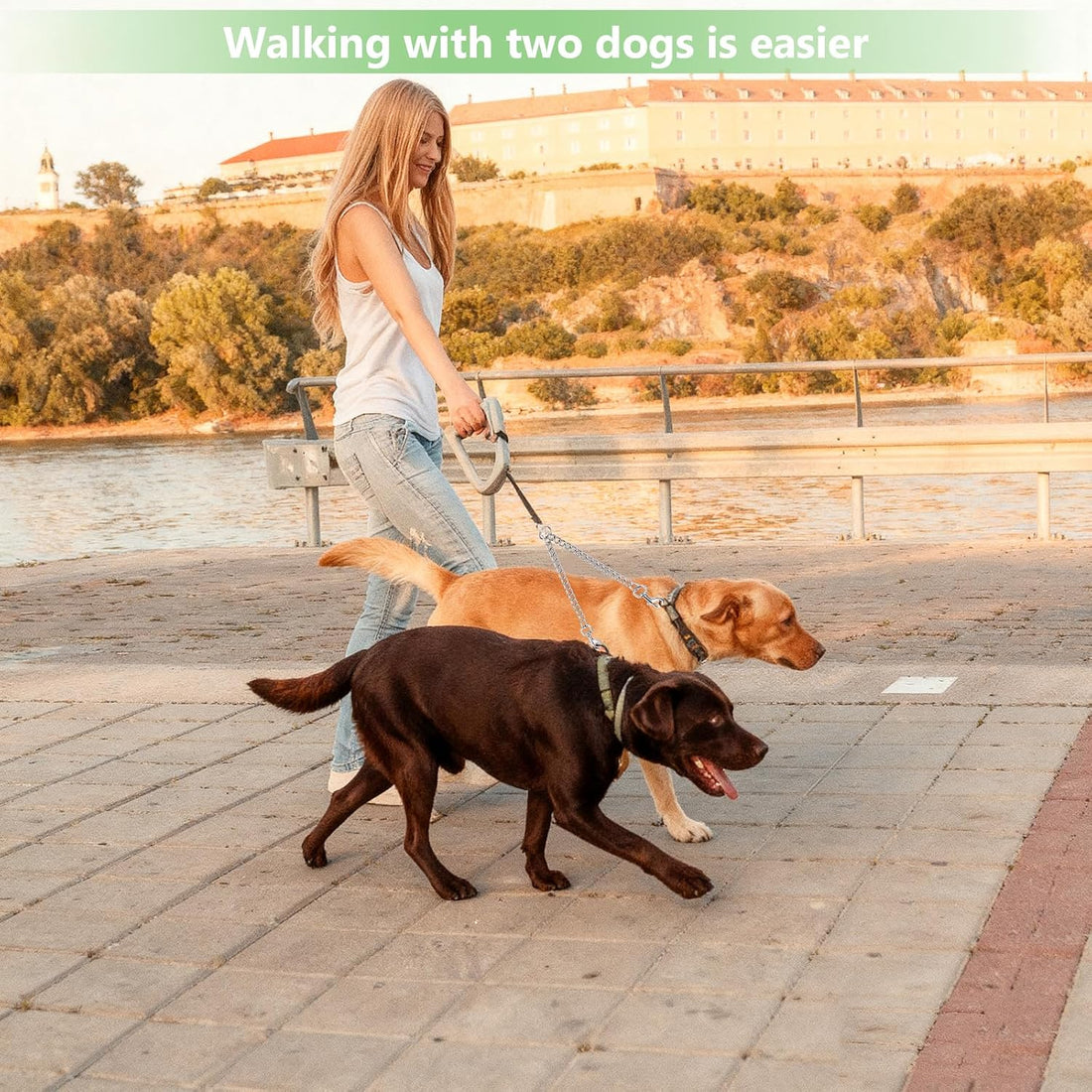 Hypeety Double-Head Dog Leash Chain Heavy Duty Twin Lead for 2 Dogs