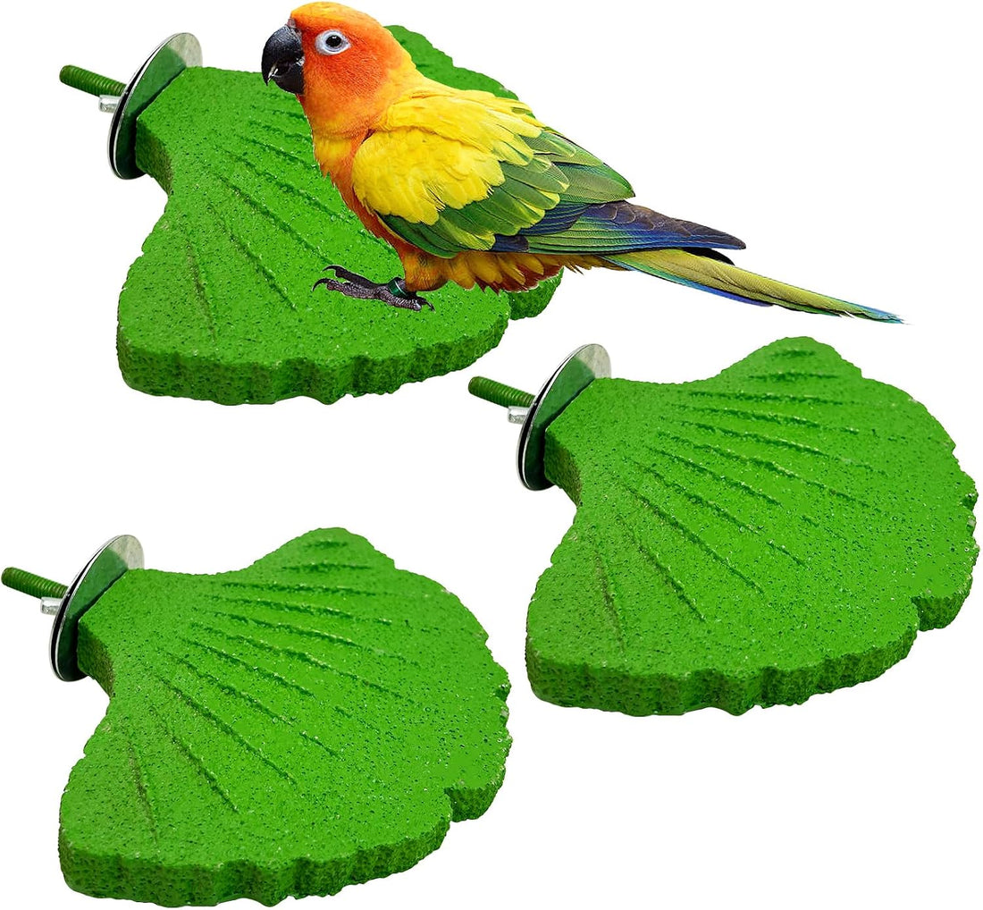 3 Pcs Parrot Perch Resin Bird Beak Grinding Stone