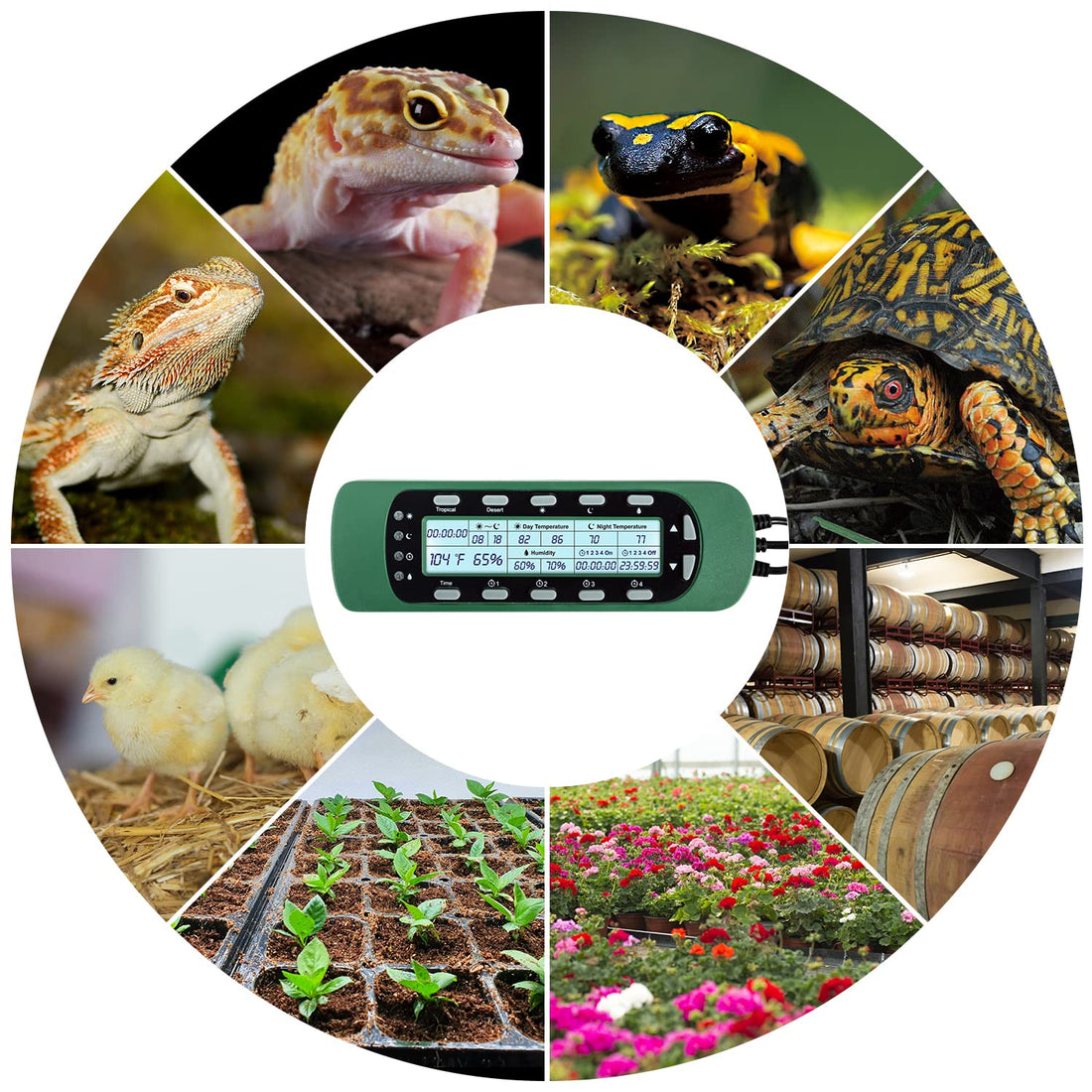 REPTI ZOO Reptile Digital Thermometer Hygrometer Controller for Tank