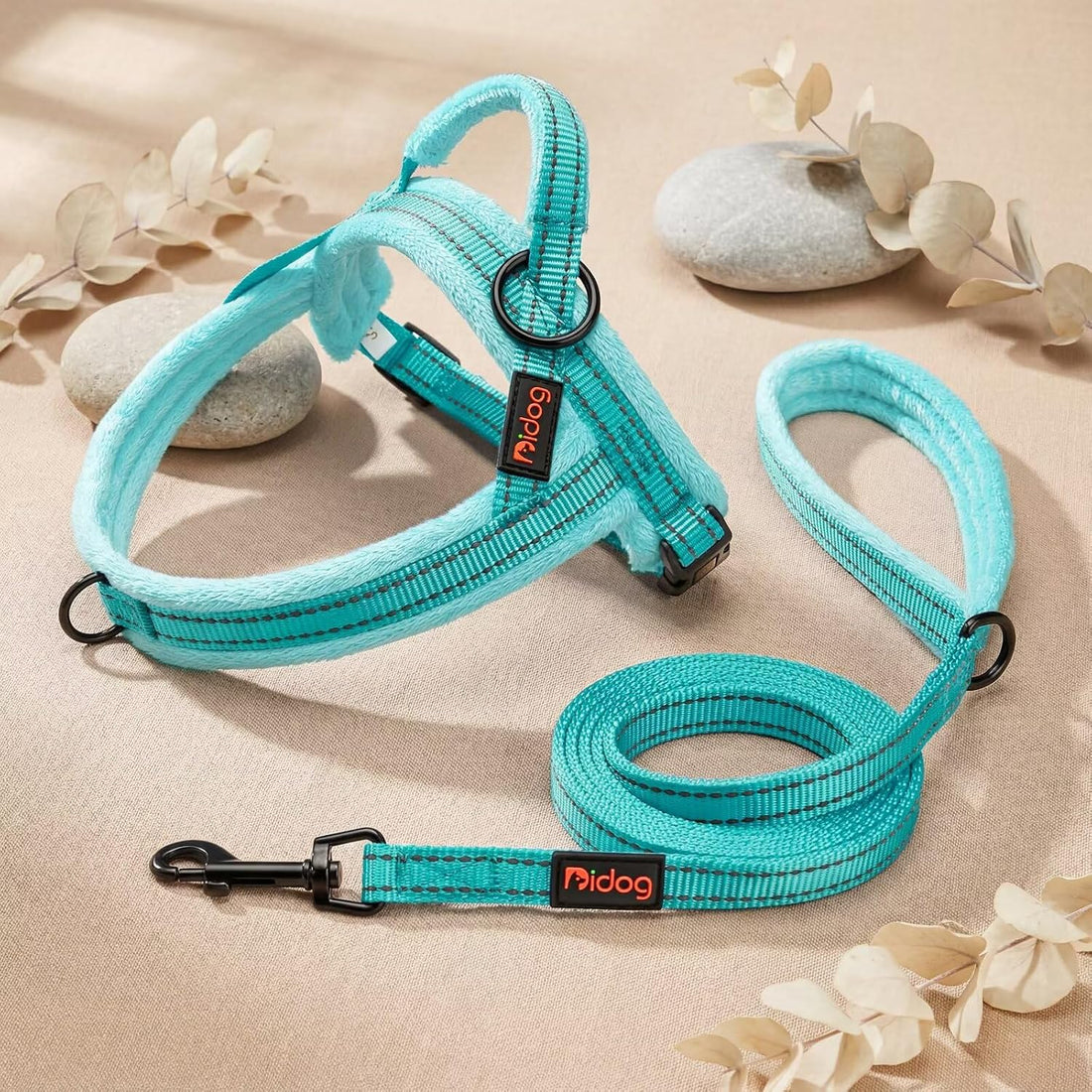 Didog 6FT Reflective Dog Leash for Small Medium Dogs, Slim 5/8" Width