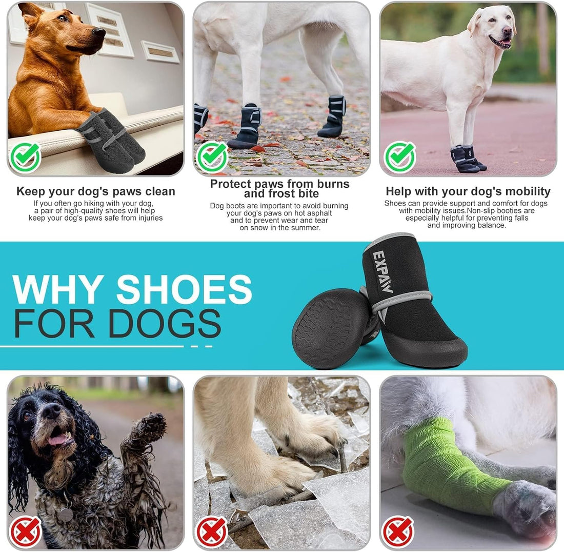 EXPAWLORER Waterproof Dog Shoes for Small Medium Large Dogs