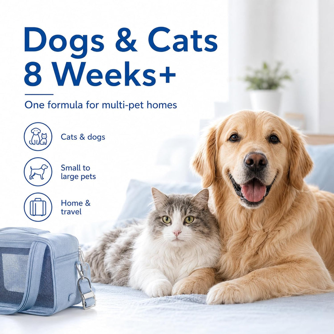 Activated Charcoal for Dogs & Cats