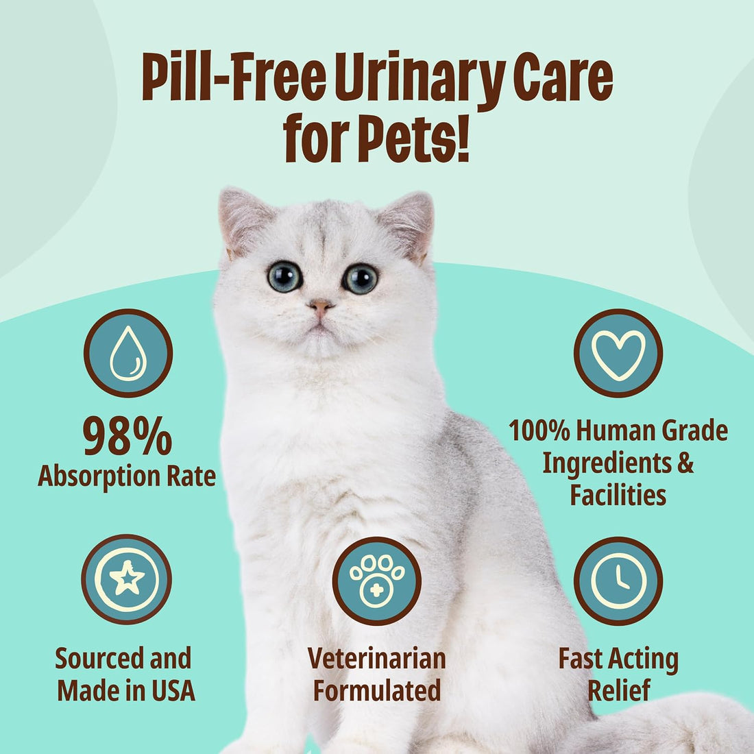 Licks Urinary Tract Care, Cranberry, Savory Flavor, 10 Packets