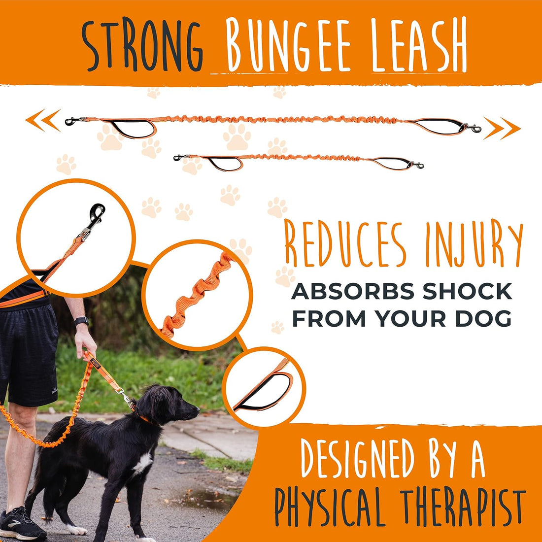 Mighty Paw Hands Free Dog Leash