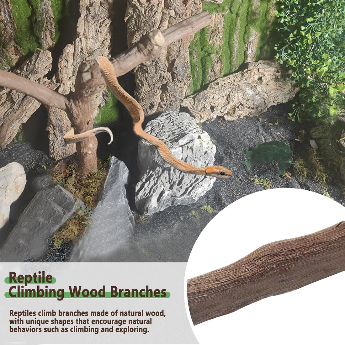 BNOSDM Reptile Grapevine Wood Lizard Natural Wood Climb Tree Branch