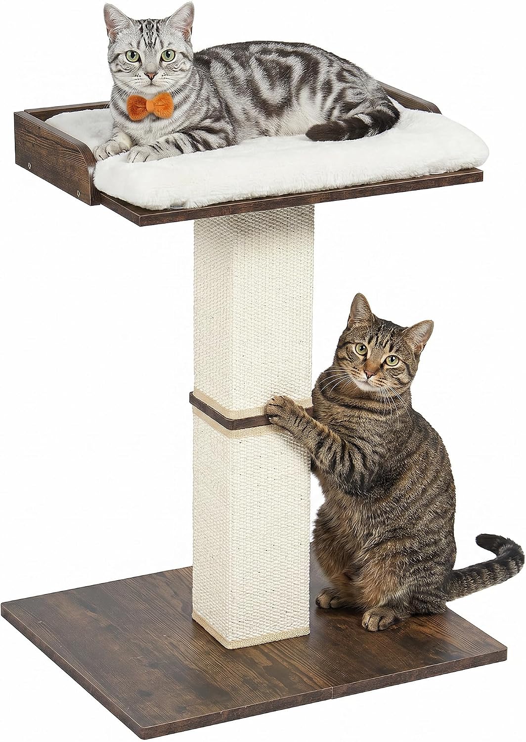 Modern Cat Scratching Post with Top Plush Bed for Indoor Cats