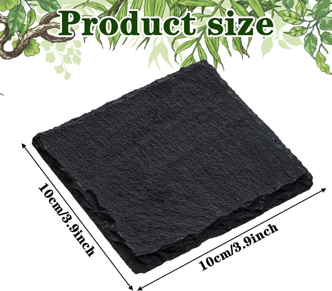 Yuanchu Reptile Basking Platform, Slate Tortoise Rock Plate