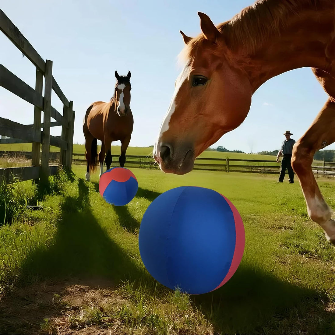 18" Jolly Ball for Horses