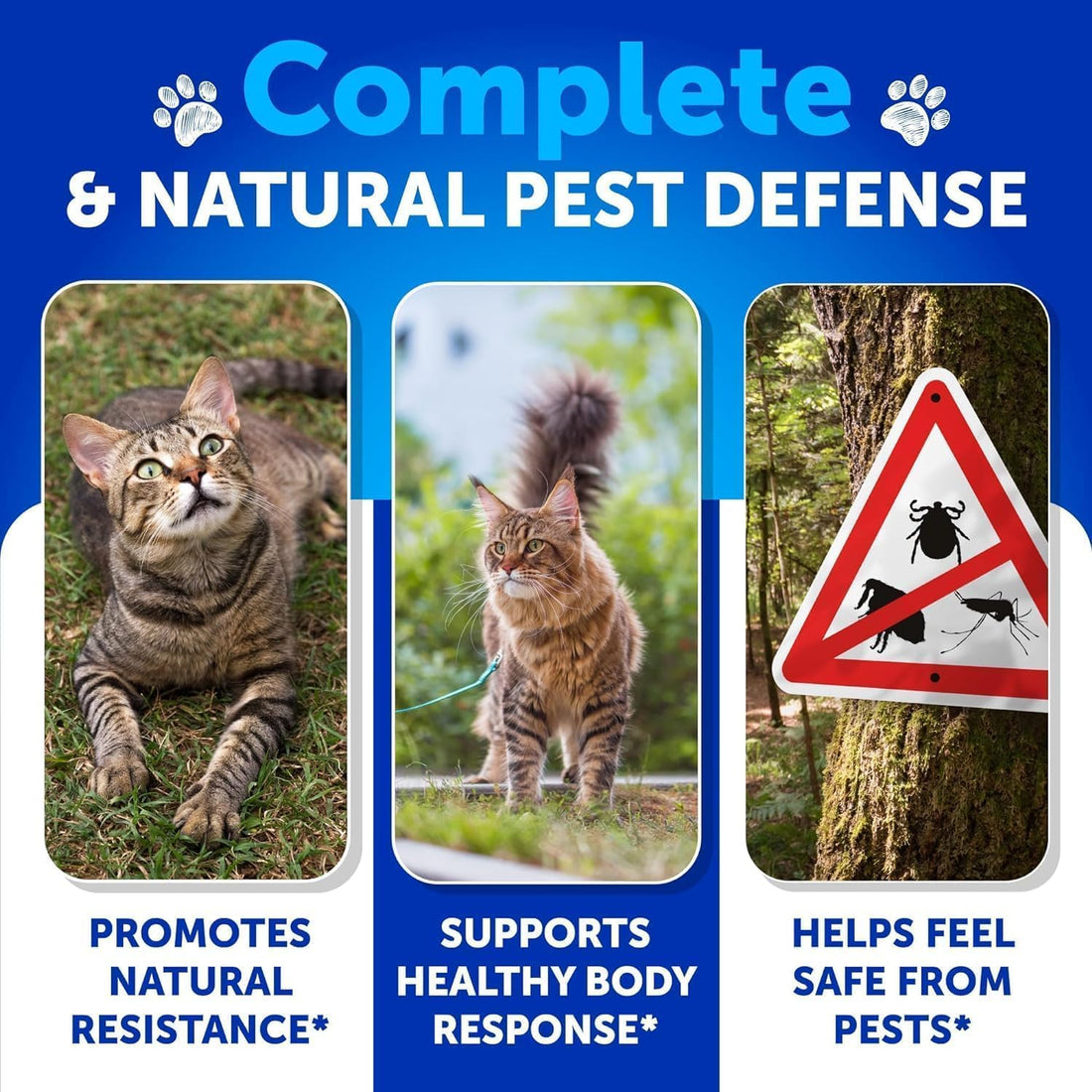 Flea and Tick Prevention for Cats - 135 Chews