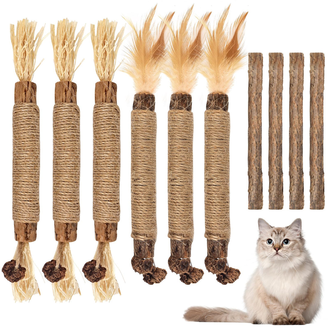 Bissap 10 PCS Silvervine Chew Sticks for Cats