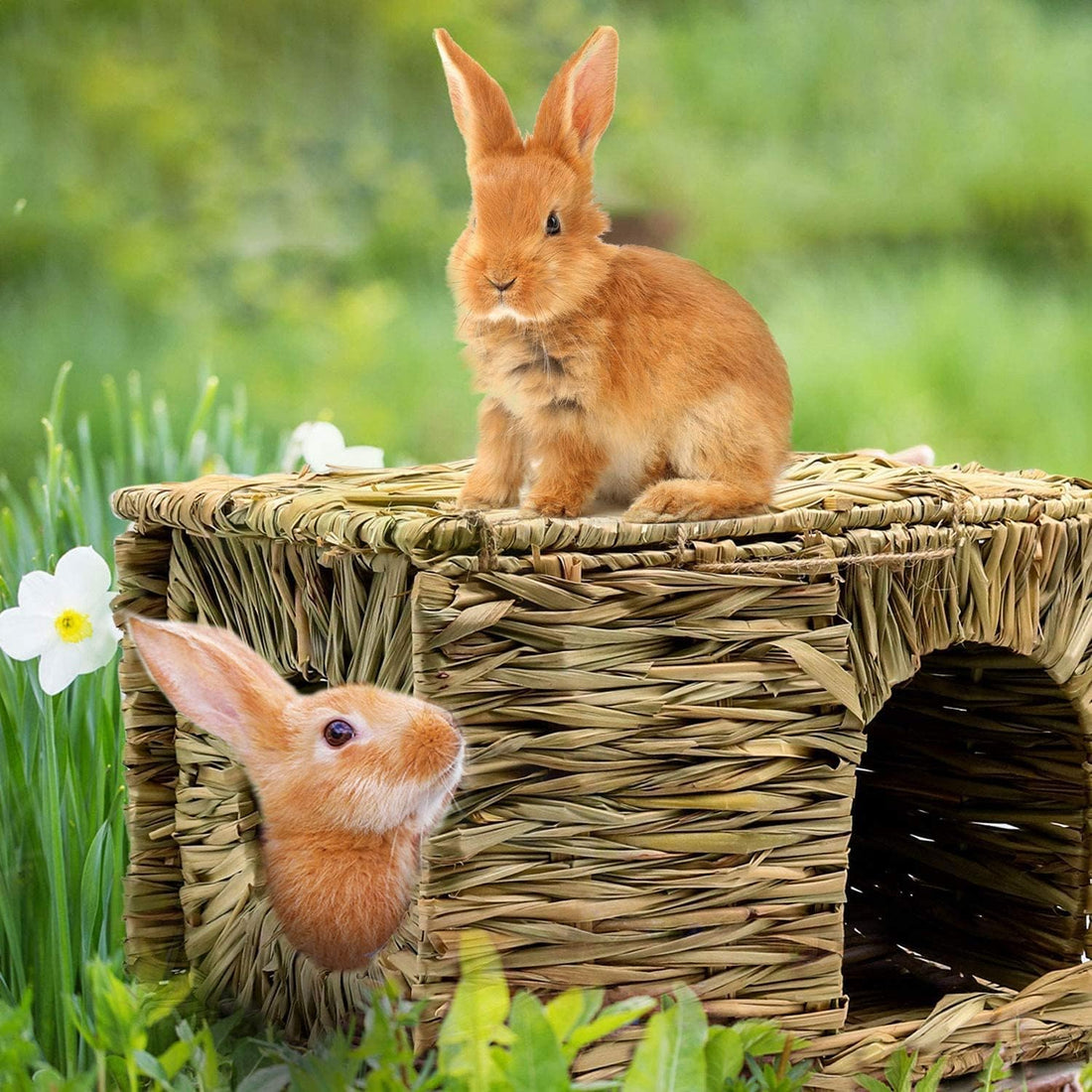 Natural Seagrass Mat Bed Hideaway Toy
