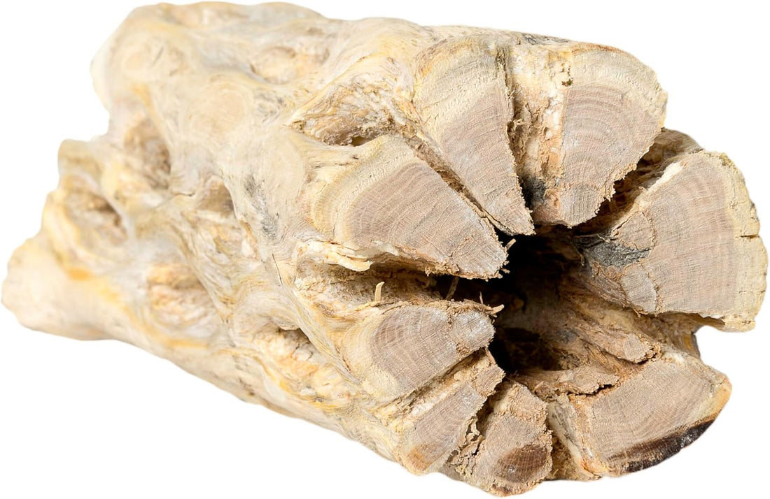 Galapagos 05270 Cholla Wood for Aquarium ,(pack of 3)