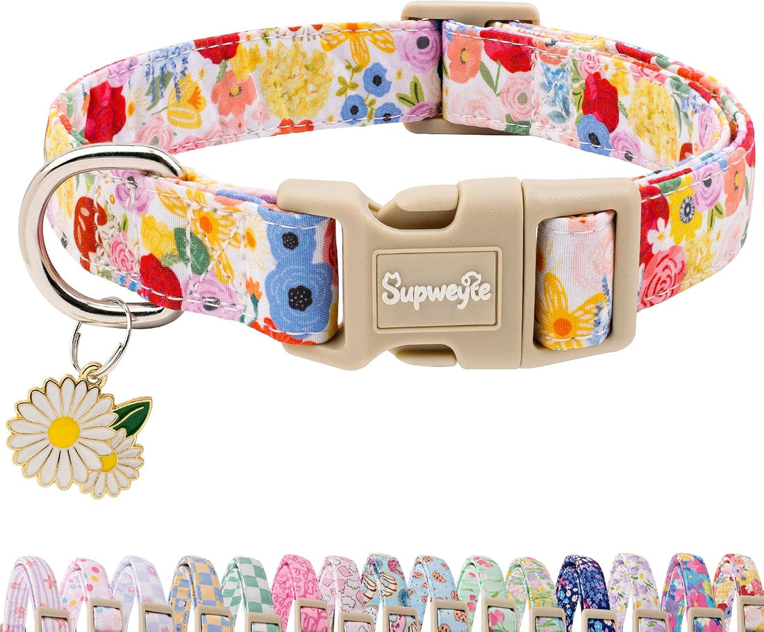 Cute Summer Beach Dog Collar for Girls, Bikini Print XS