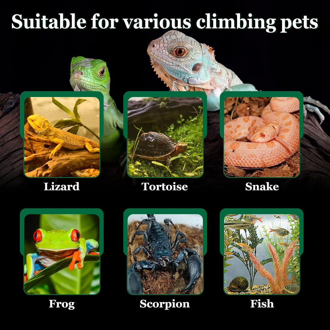 Reptile Heating Mat for Amphibians Tortoises Gecko Snake,Under Tank