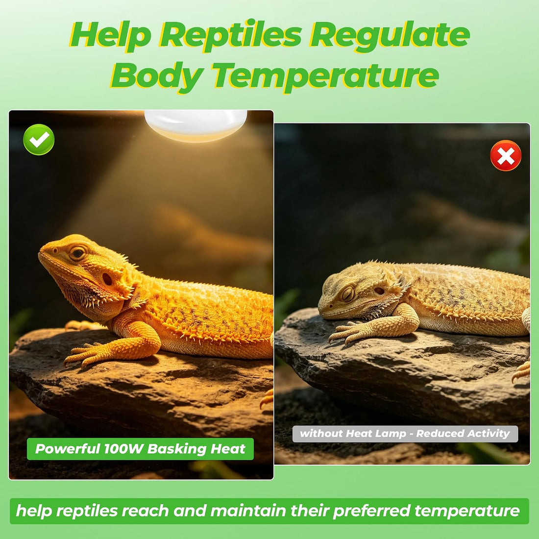 LUCKY HERP Reptile Heat Lamp Bulbs 100W