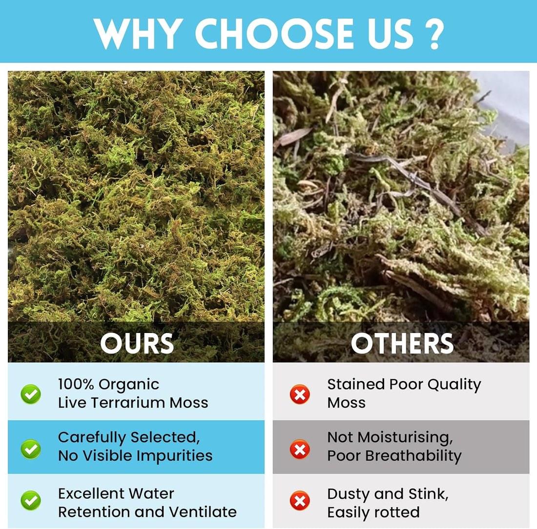Riare 8 OZ Natural Sphagnum Moss for Reptiles