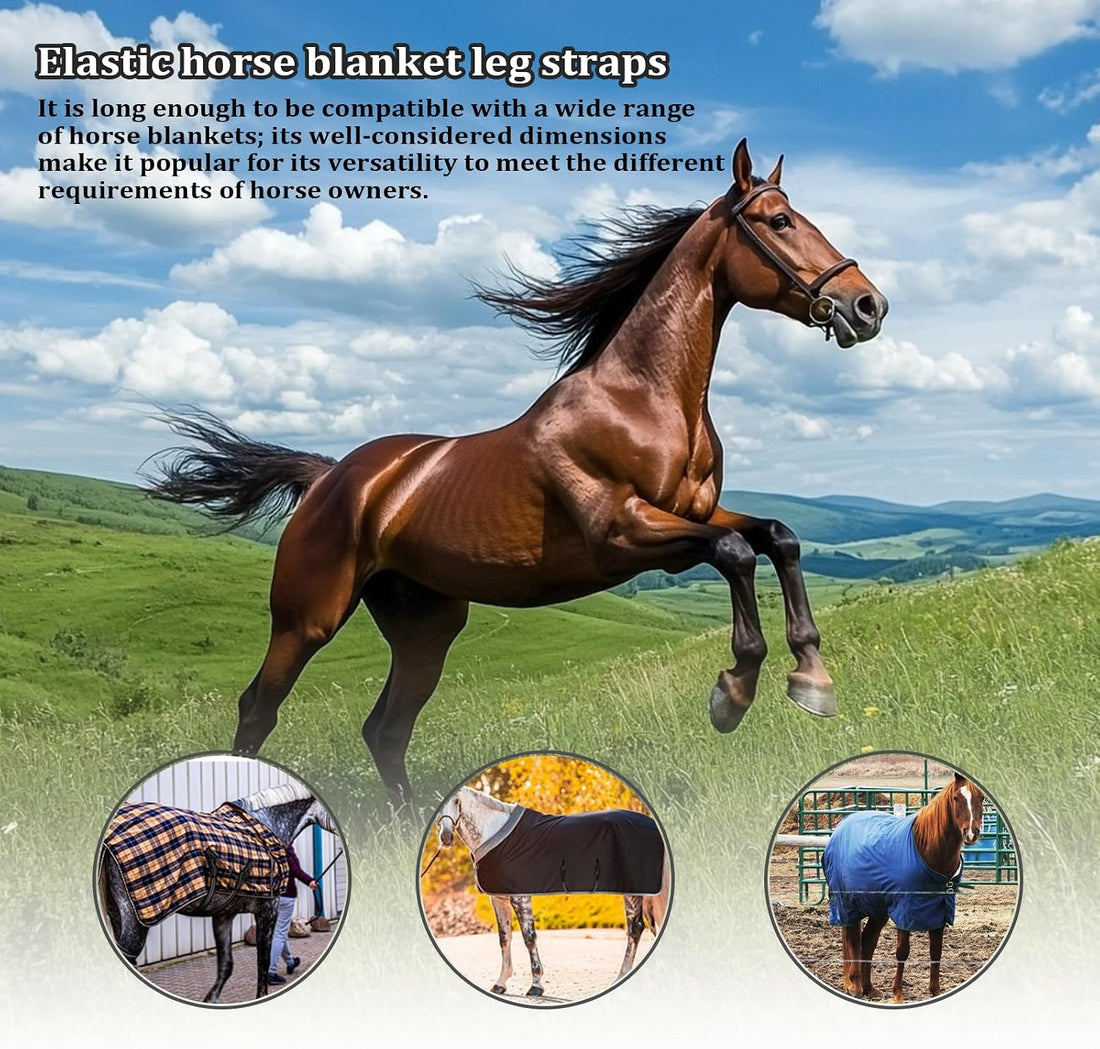 5 Pack Horse Blanket Straps Adjustable Elastic Tail Strap