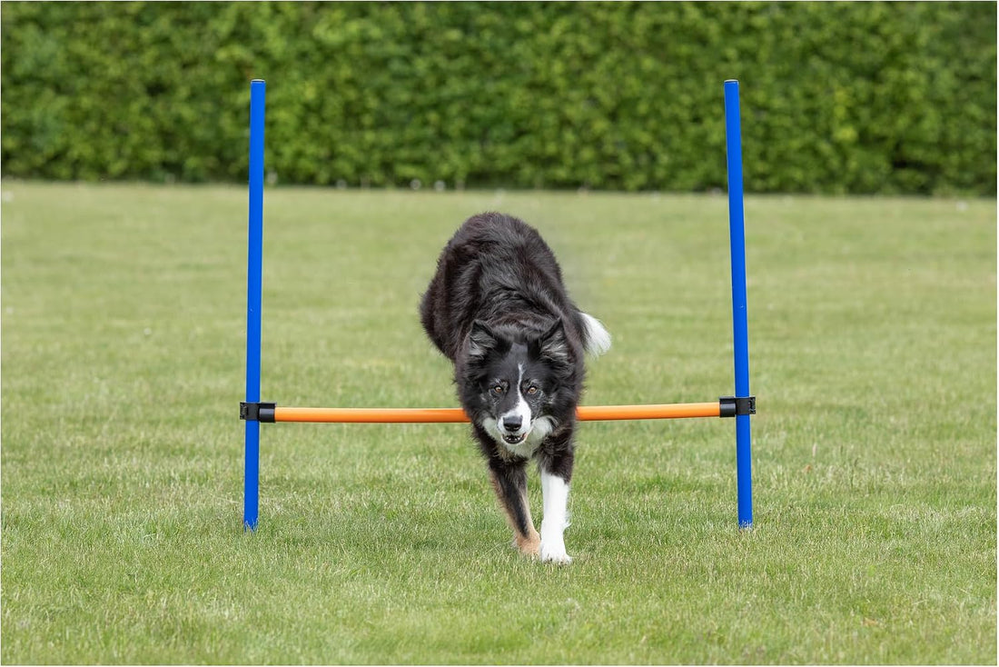 TRIXIE Dog Agility Hurdle with Height Adjustable Crossbar