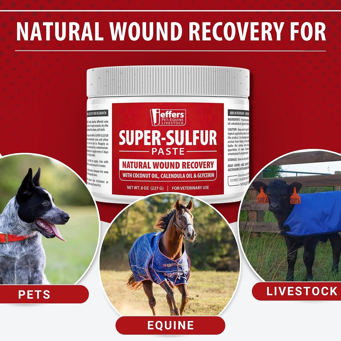Jeffers Super Sulfur Natural Healing Paste for Dogs