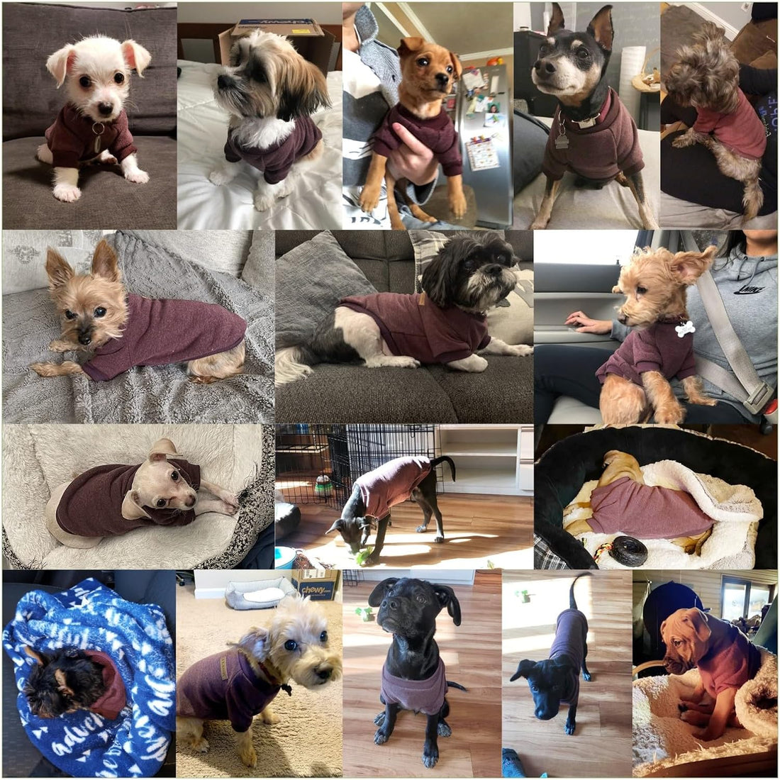 Dog Sweaters for Small Dogs, Soft Fleece Puppy Clothes