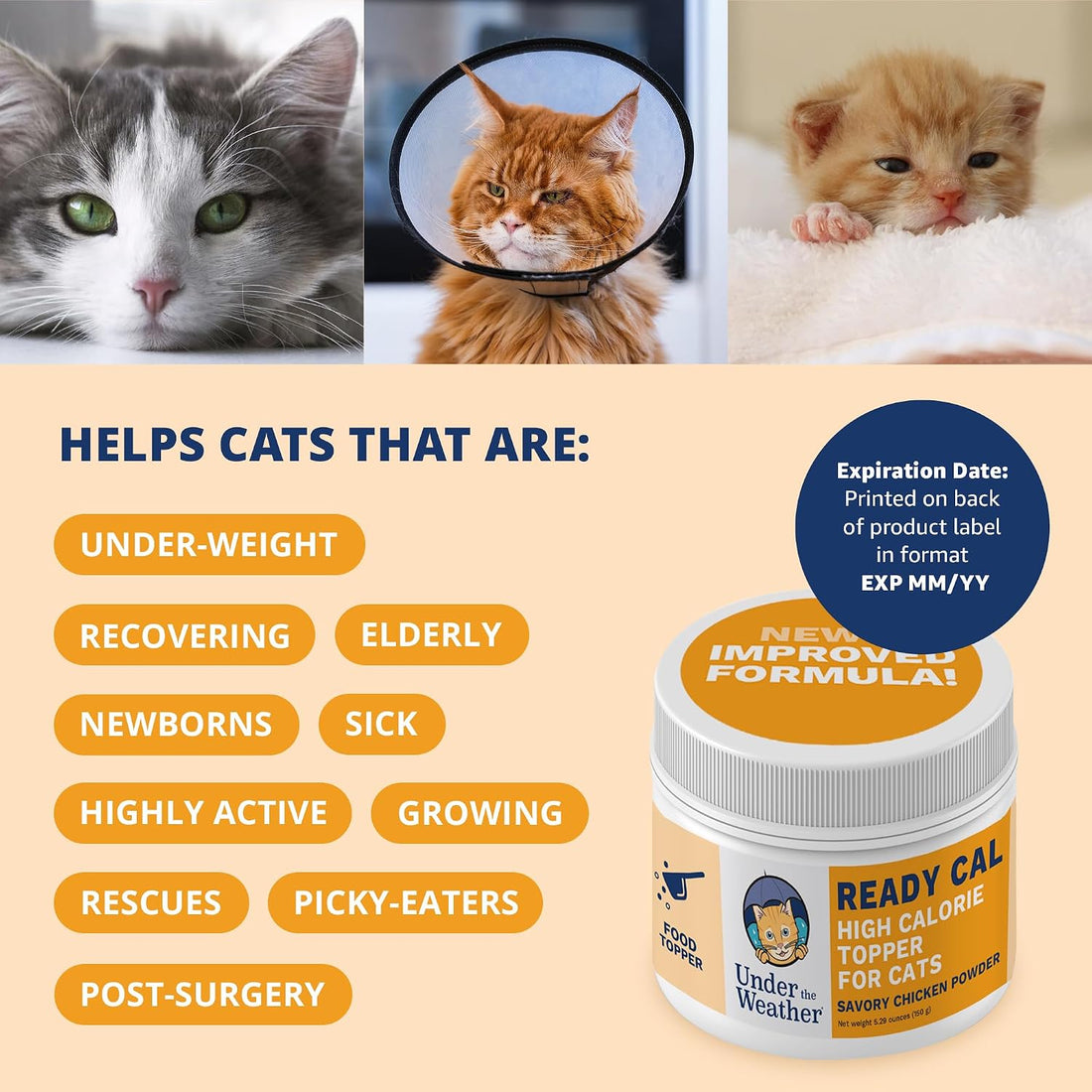 Under the Weather Ready Cal Powder for Cats