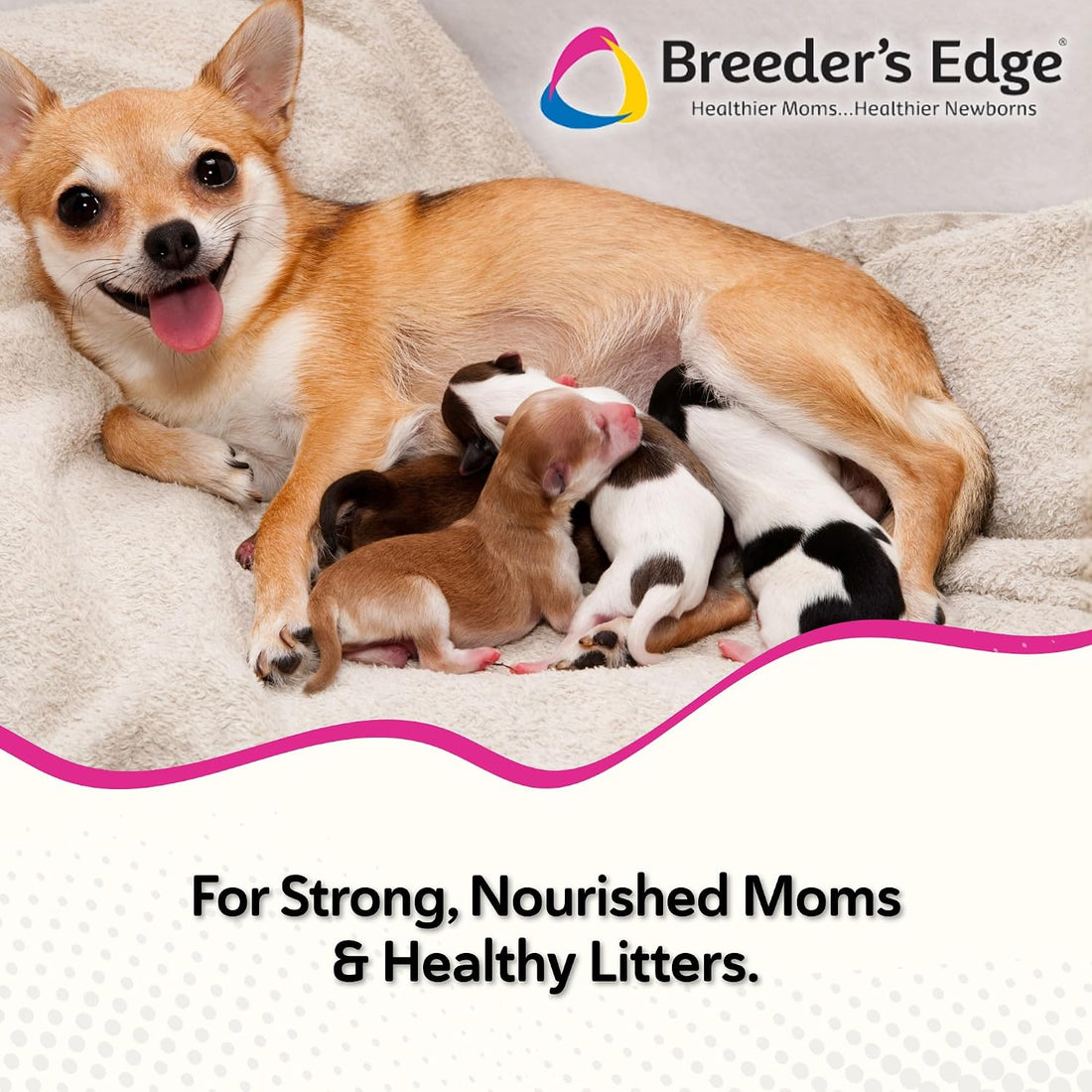 Breeder's Edge Oxy Momma Soft Chews
