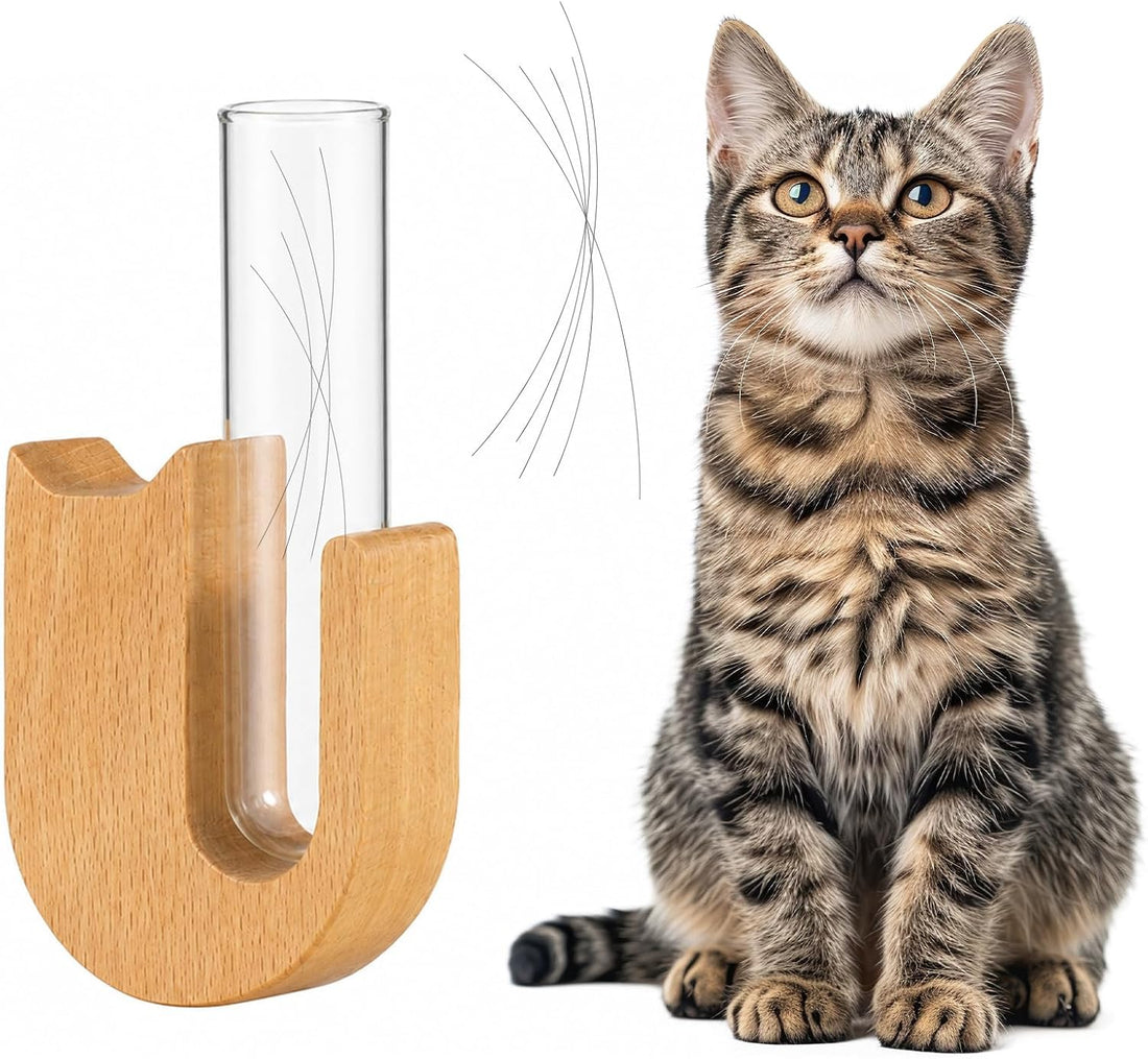 Cat Whisker Jar Mini Whisker Vase Glass Whiskers Holder Transparent