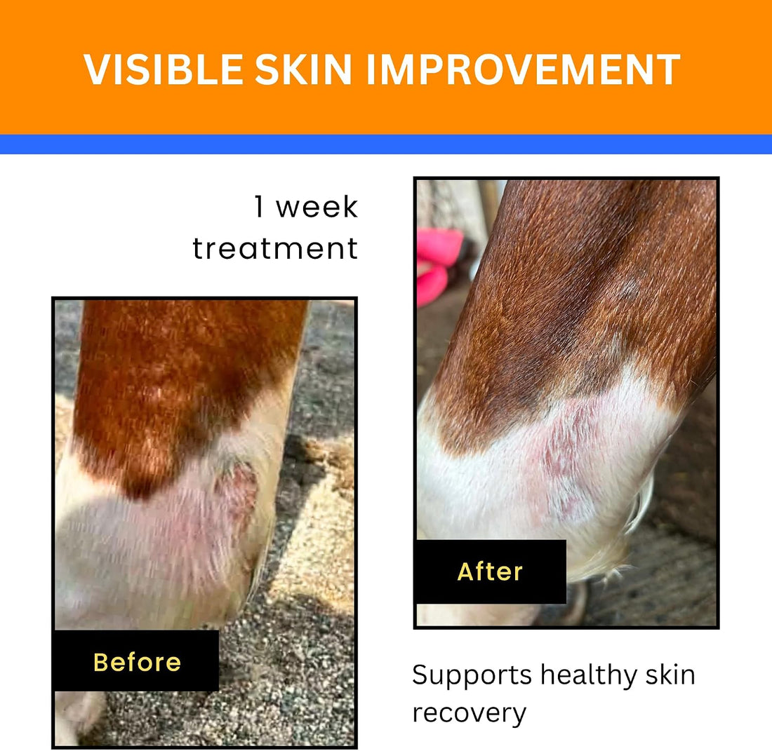 Jazzy’s Cream for Horses | for Rain Rot, Scratches