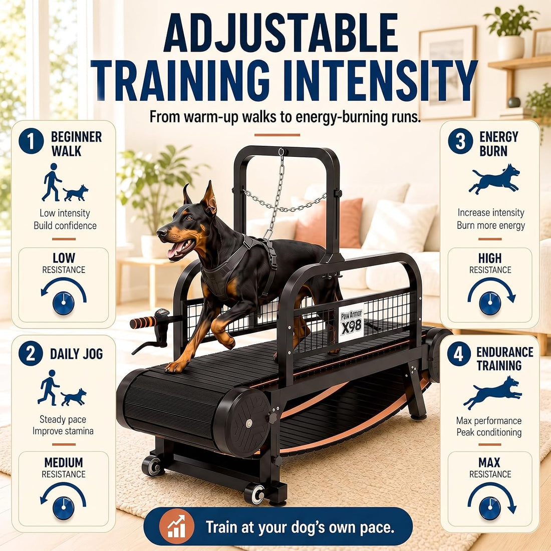 Curved Dog Treadmill with Silicone Slats and Disc Brakes