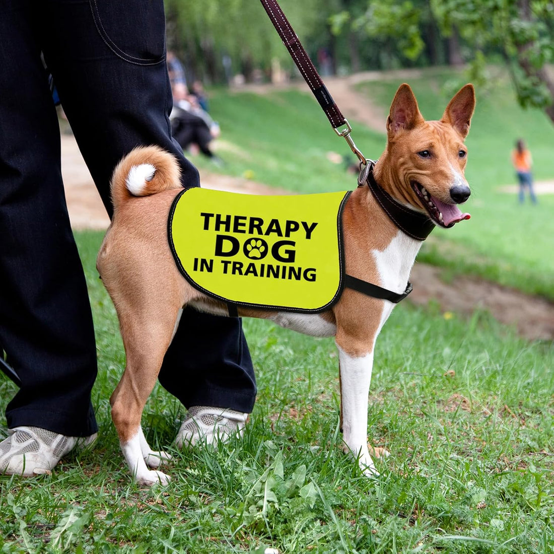 Zuo Bao Therapy Dog Jacket Vest for Large Dogs