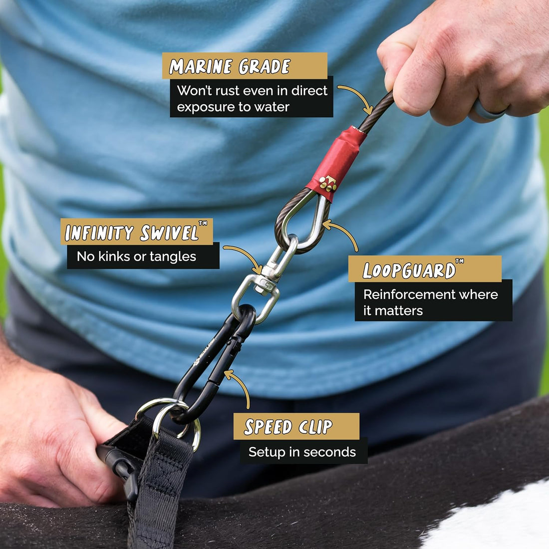 ROYAL PAW Dog Tie Out Cable and Stake 30ft