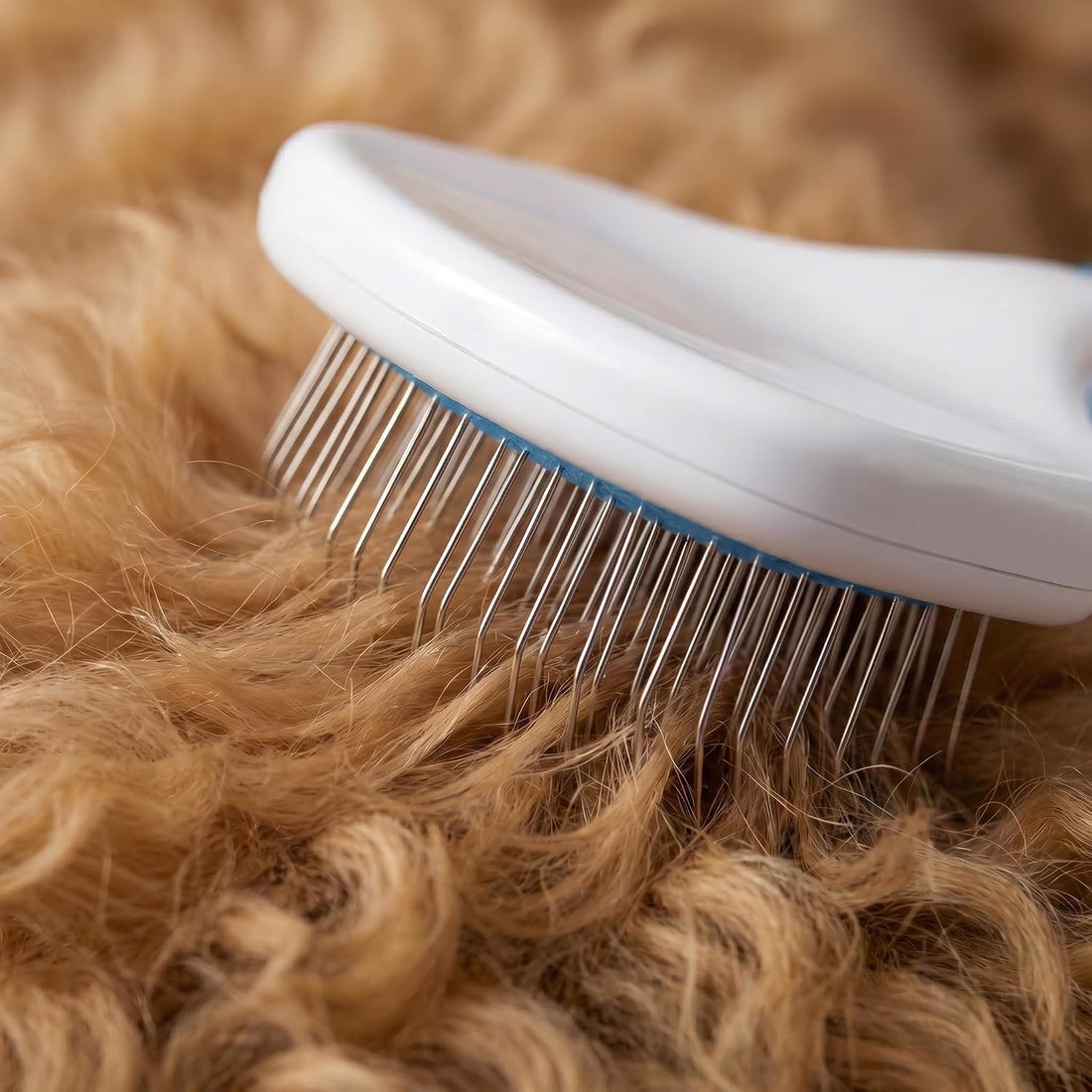 Poodle Pet Slicker Brush - For Dogs, Cats, and Rabbits