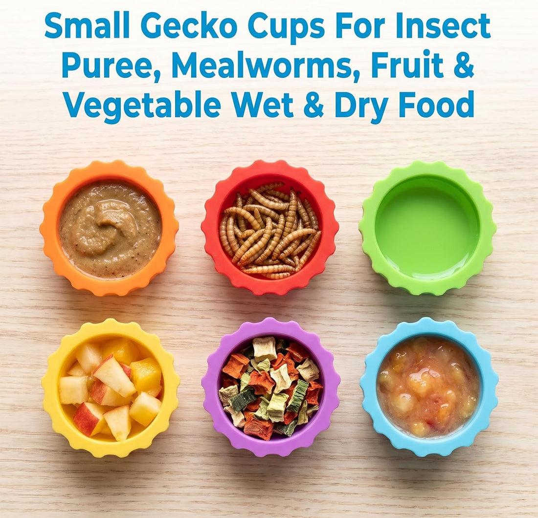 24Pcs Gecko Feeding Bowls Feeding Cups Reptile Food Water Dish