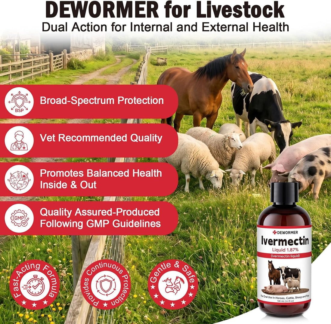 Dewormer, Liquid Formula, for Roundworms, Pinworms, and Others