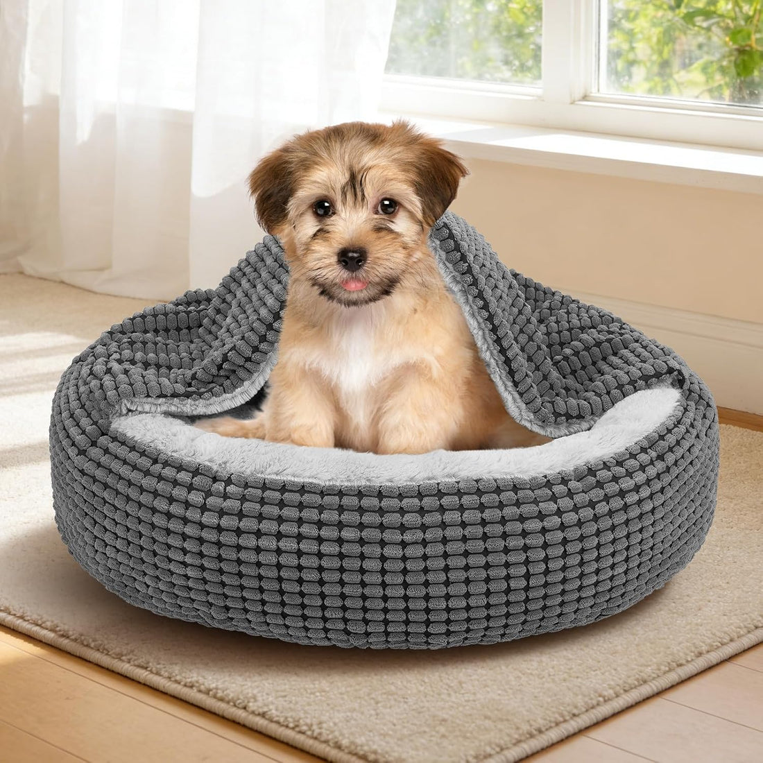 Small Dog Bed with Attached Blanket