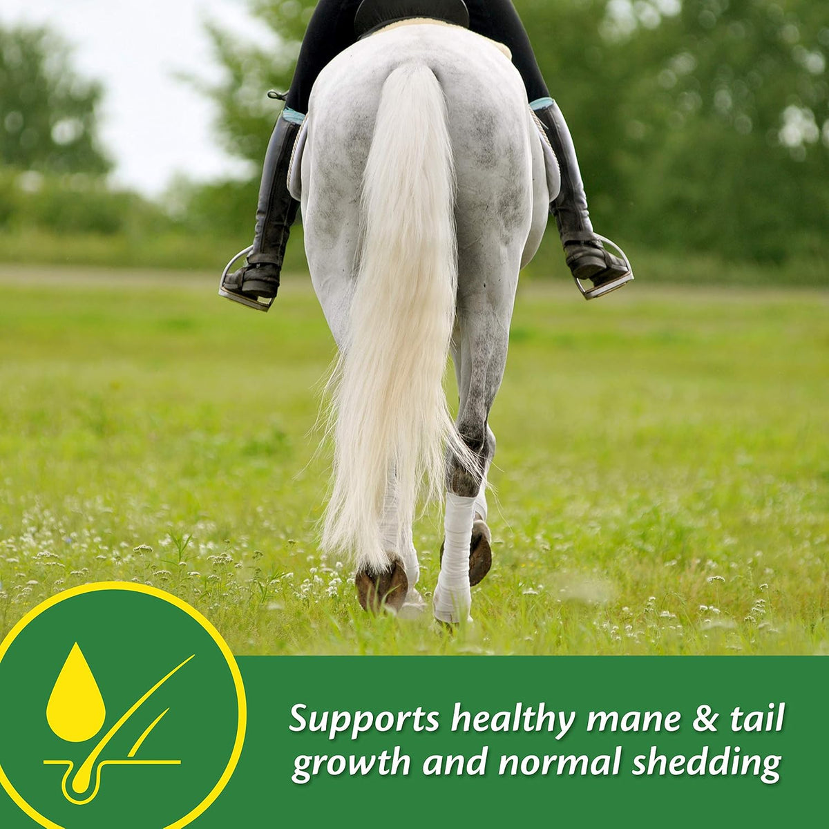 Farnam Super 14 Healthy Skin & Coat Supplement for Horses