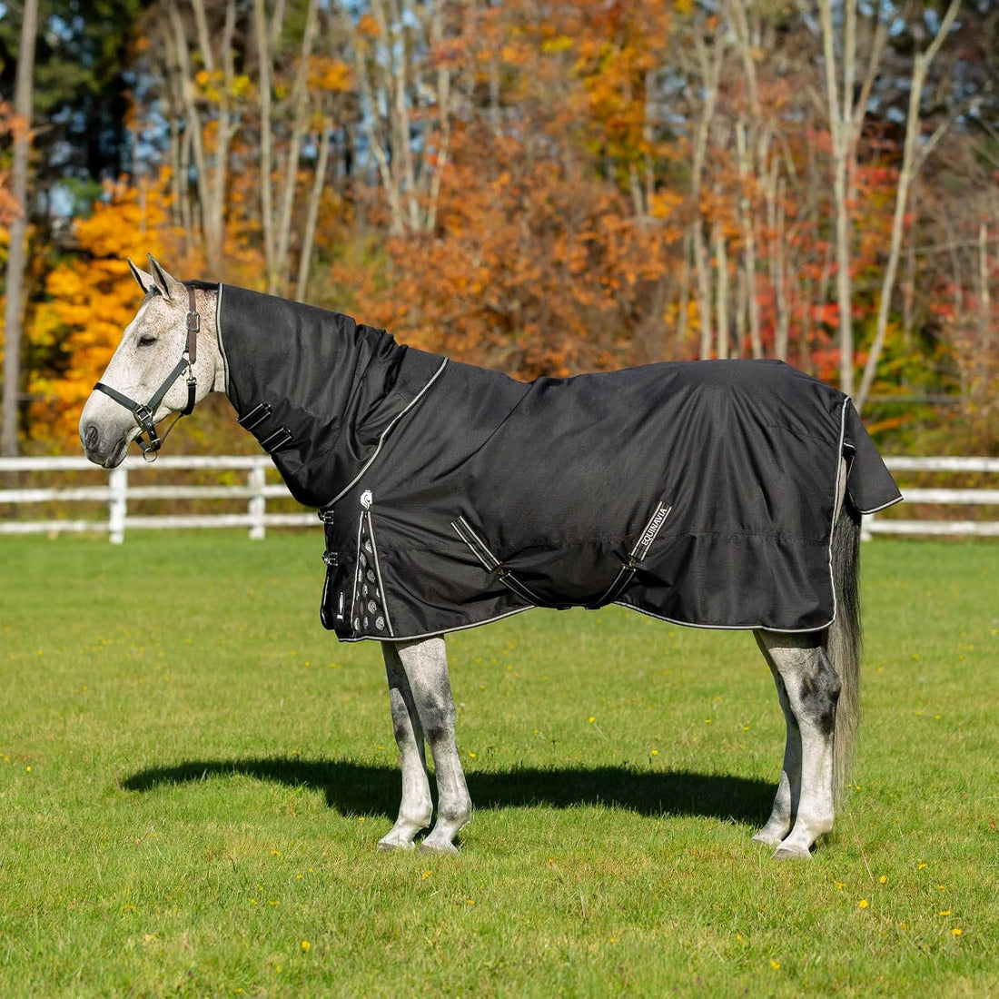 Equinavia Norse 200g Medium Weight Horse Blanket