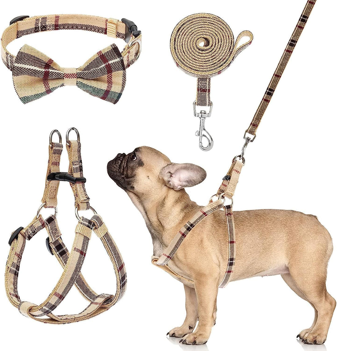 BINGPET No Pull Dog Harness Leash Collar Set,Adjustable Step